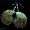 ammonite earrings