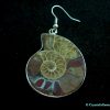 ammonite earrings